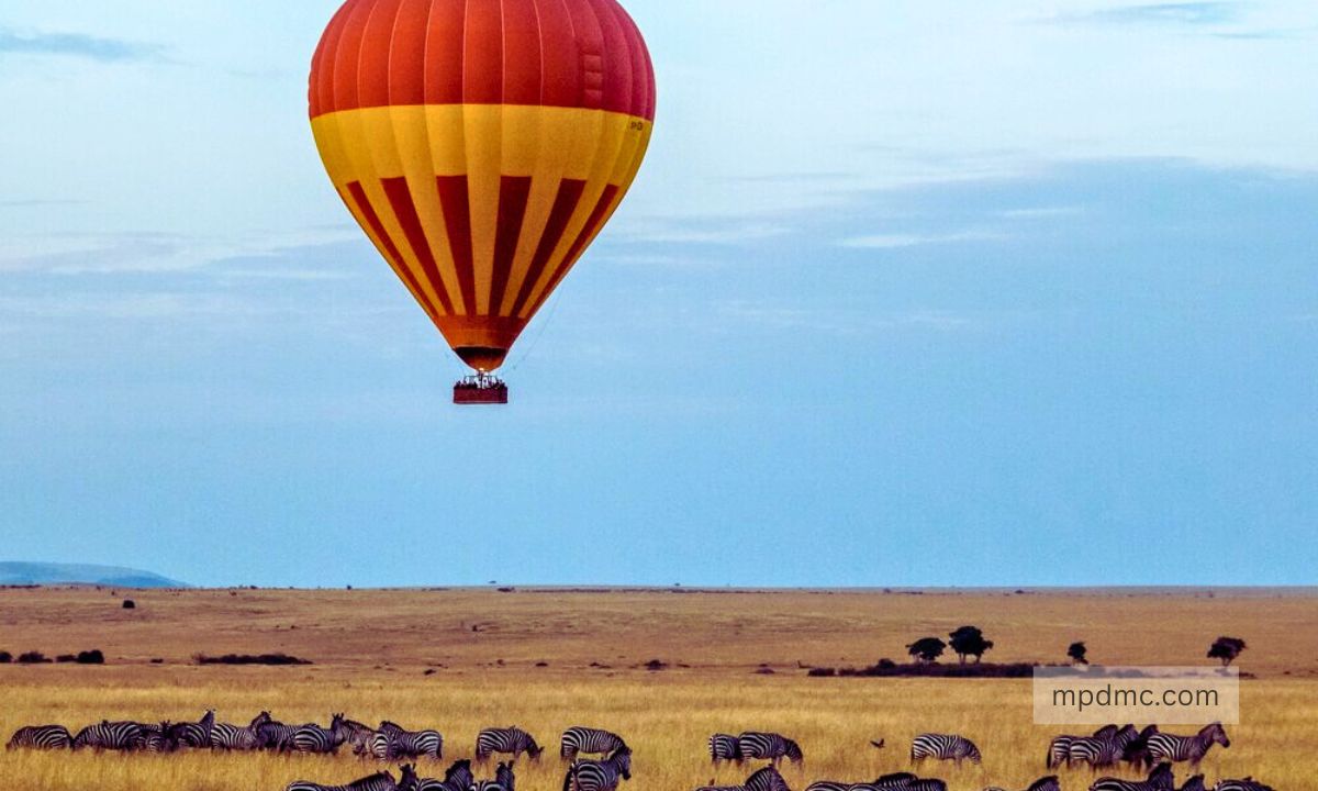 hot-air-balloon-bhedaghat