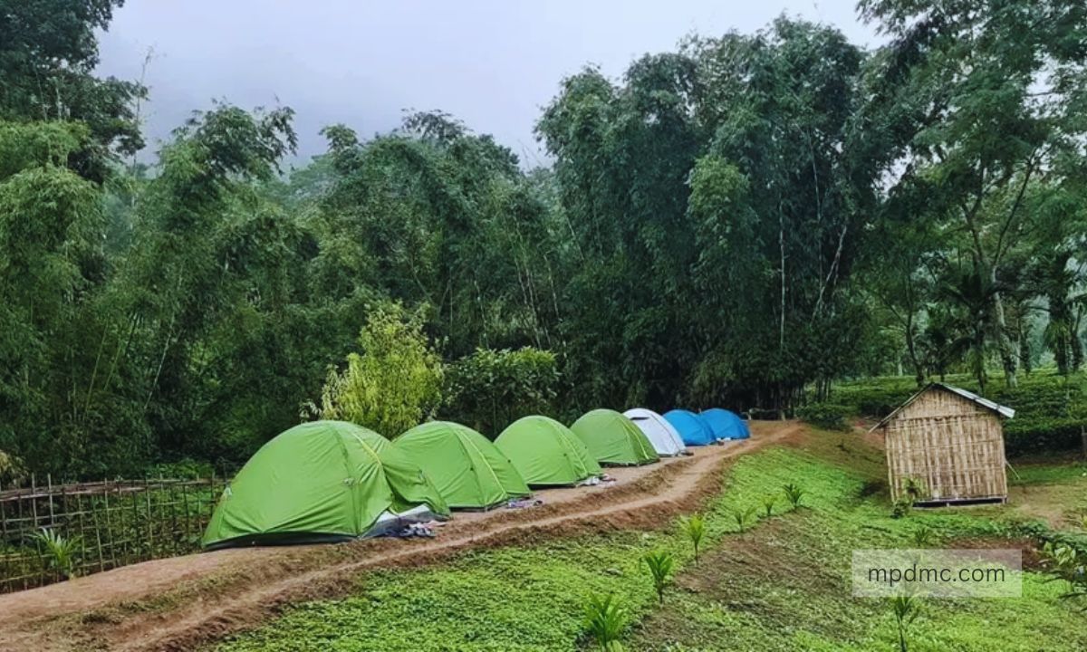 Jungle Camping in Kuno National Park