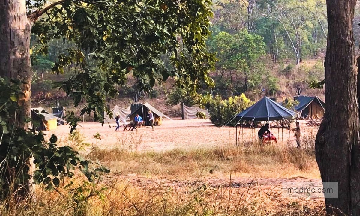 Jungle Camping in Satpura National Park